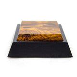 Imported Rosewood Sound Block
